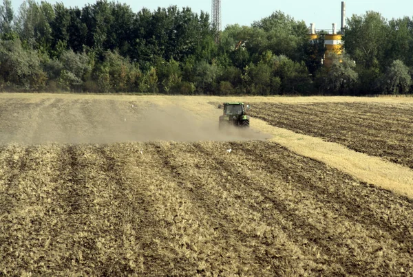 Agricultura Agricultura Romênia Cultivo Plantas Produção Alimentos — Fotografia de Stock