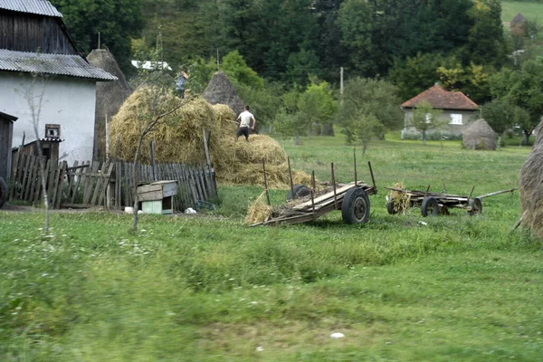 ルーマニアの農業と農業 植物栽培と食糧生産 — ストック写真
