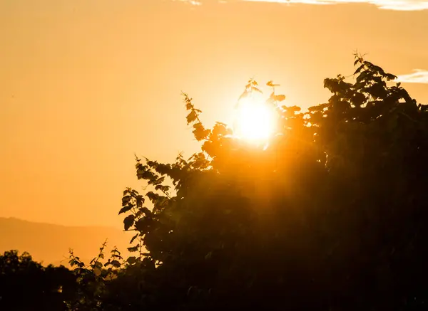 Avond Aan Horizon Zon Bij Zonsondergang Einde Van Dag — Stockfoto