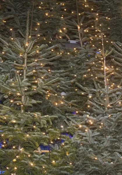 Weihnachtsbeleuchtung Und Dekoration Der Advents Und Weihnachtszeit — Stockfoto