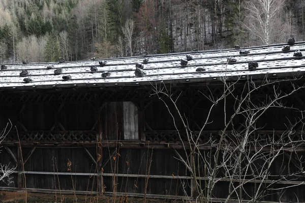 Farma Górska Dom Rustykalny Zimie Wsi Górach — Zdjęcie stockowe