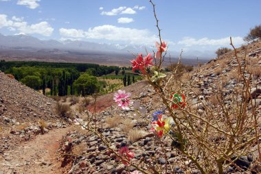 Arjantin And Dağları 'nda bir mezarlık ya da mezarlık