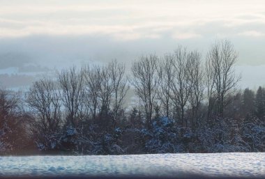 Kış mevsiminde karla kaplı ağaçlar