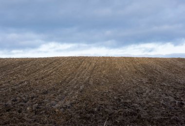 tarımda bir tarlada toprak, kullanılabilir arazi ve ekilebilir tarım