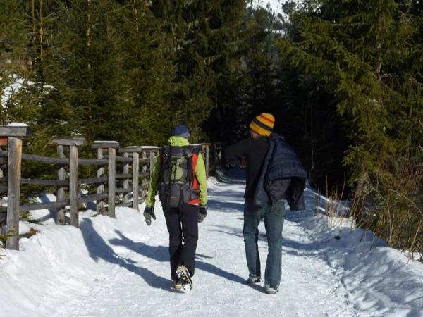 Passeggiata Nella Neve Invernale Vacanza Attività Ricreative All Aria Aperta — Foto Stock