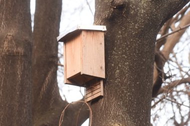 Evcil kuşlar için kuş kafesi ya da kuş yuvası