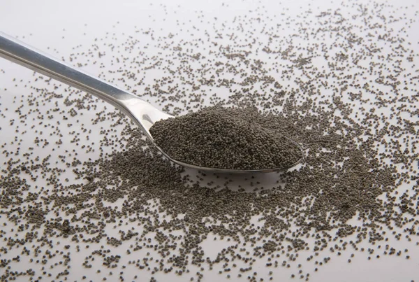 Gray Poppy Seeds Kitchen Spice Used Cooking — Stock Photo, Image