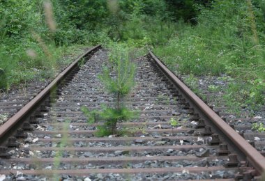 Terk edilmiş demiryolu hattı ve raylar toplu taşıma ve nakliye trafiğinde