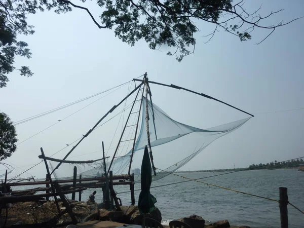 Hindistan Denizde Balık Tutmak Suda Yiyecek Temin Etmek — Stok fotoğraf