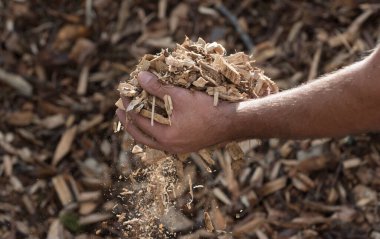 wood chips as a renewable heating fuel and energy source clipart