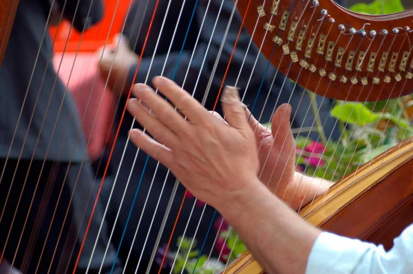 Gra Harfie Instrumencie Muzycznym Strunami Wyrwanymi Palcami — Zdjęcie stockowe