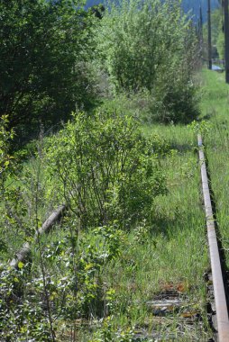 Terk edilmiş demiryolu hattı ve raylar toplu taşıma ve nakliye trafiğinde
