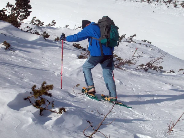 Hiking Snowshoes Winter Outdoor Sports Mountains — Stock Photo, Image