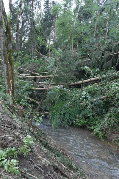 Erosi Dan Puing Puing Macet Sungai Banjir Alam — Stok Foto