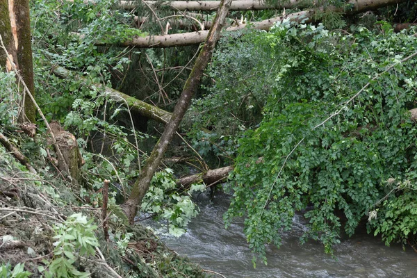 Érosion Brouillage Des Débris Sur Une Rivière Inondée Dans Nature — Photo