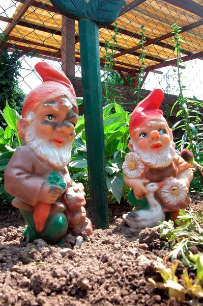 Gnomos Jardín Enanos Como Elemento Decorativo Jardín — Foto de Stock