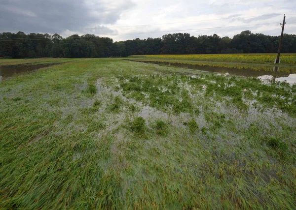 洪水泛滥的农田 农业和农业中的水和天气破坏 — 图库照片