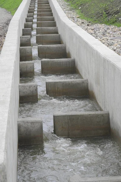 Fish Ladder Help Fish Overcome Barriers Moving — Stock Photo, Image