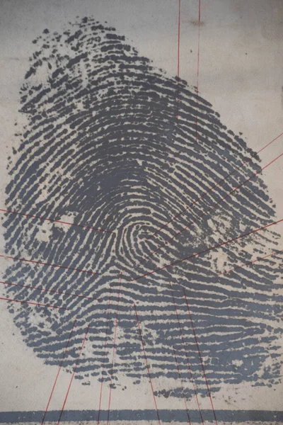 Ένα Διευρυμένο Και Τυπωμένο Δακτυλικό Αποτύπωμα Για Έρευνα Στο Εγκληματολογικό — Φωτογραφία Αρχείου