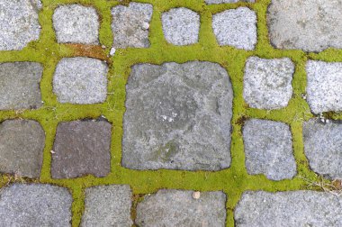 Doğadaki taş ya da kaya yüzey deseni, doku ve yapılar