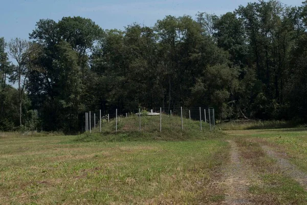 a reservoir to store water at a clearing near a forest