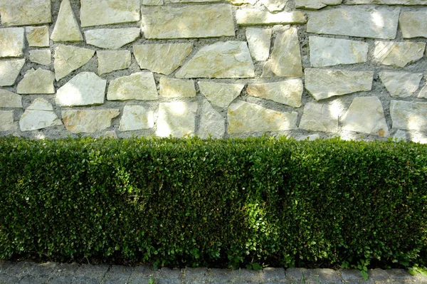 Stone Rock Surface Pattern Textures Structures Nature — Stock Photo, Image