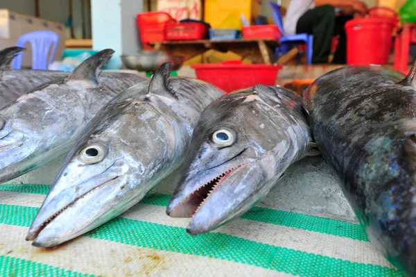 Свежая Рыба Выловленная Море Рынке — стоковое фото