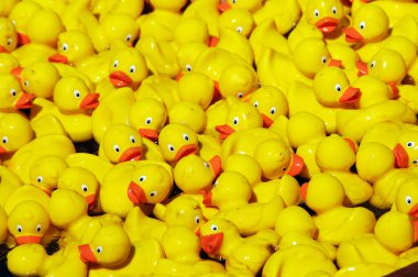 Kırmızı gagalı bir grup sarı plastik ördek, oyuncak hayvanlar.