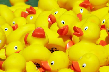 Kırmızı gagalı bir grup sarı plastik ördek, oyuncak hayvanlar.