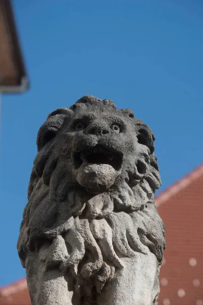 stone statue of a lion, animal statue during day time