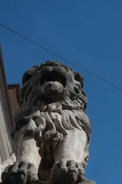 stone statue of a lion, animal statue during day time