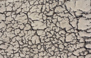 Bir yüzeydeki biyomorf şekiller ve yapılar, desen ve doku