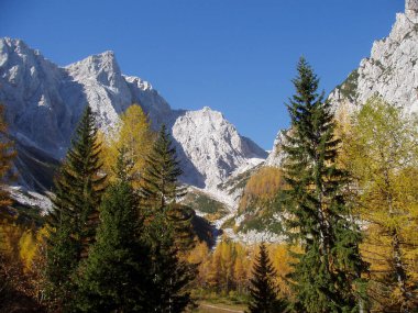 Bir sonbahar günü Alplerde kayalık bir dağ manzarası