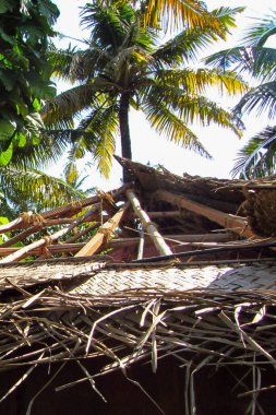 Hindistan 'daki palmiye ağaçlarının çatısı, doğal kaynakları olan bina ve inşaat.