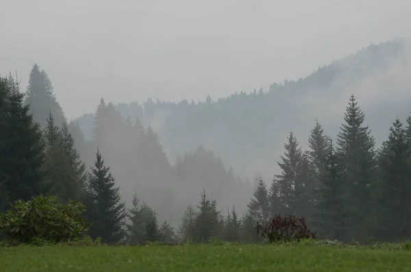 autumn fog in a natural landscape, weather conditions during daytime