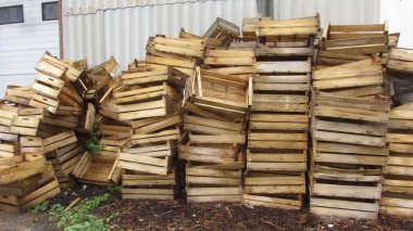 Sebzelerin taşınması ve taşınması için kutu ve sandıklar.