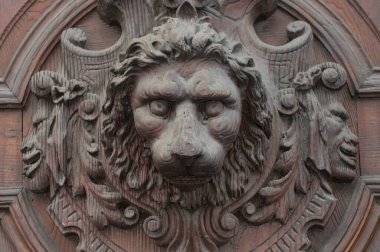 Bir aslanın sembolü, bir hayvanın görüntüsü ve üremesi. 