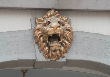 Bir aslanın sembolü, bir hayvanın görüntüsü ve üremesi. 