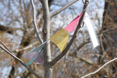 Çorak bir kış manzarasında yaprakları olmayan çıplak bir ağaç.