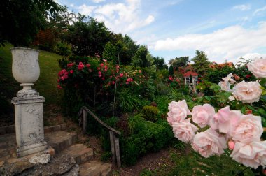Bahçecilik ve bahçe tasarımı, bitkilerle manzara planlaması.