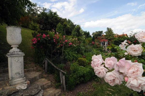 Bahçecilik ve bahçe tasarımı, bitkilerle manzara planlaması.