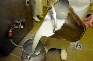 süt endüstrisinde depolanan süt ve tarım üretimi