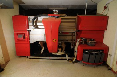 Süt çiftliğinde robot sağmak, otomatik inek sağmak.