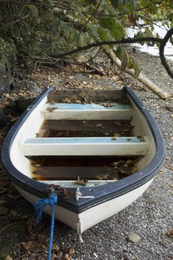 Bir kayık ya da kayık. Sudaki ulaşım ve hareketlilik için.