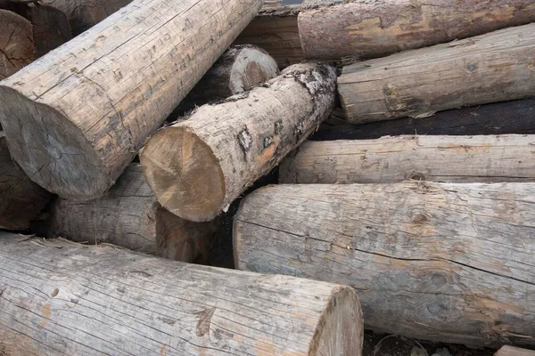 Твердий Кубічний Метр Одиниця Вимірювання Деревообробній Промисловості — стокове фото