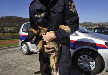 Polis köpeği eğitmeni ve özel eğitimli polis köpeği.