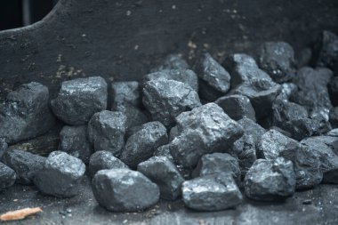 sert kömür ya da taş kömür, bir fosil enerji kaynağı