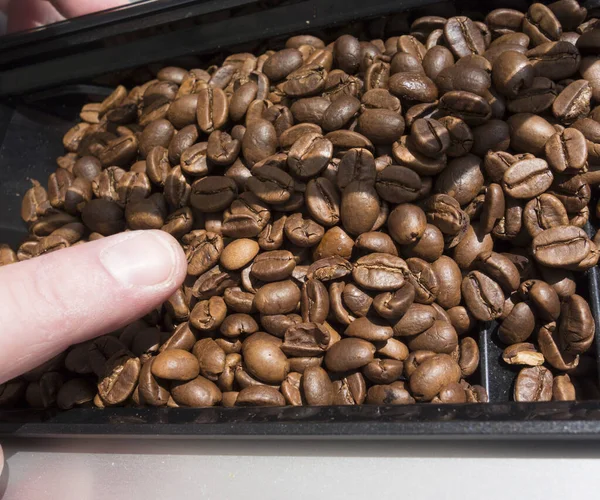 Dark Roasted Coffee Beans Source Beverage Coffee — Stock Photo, Image