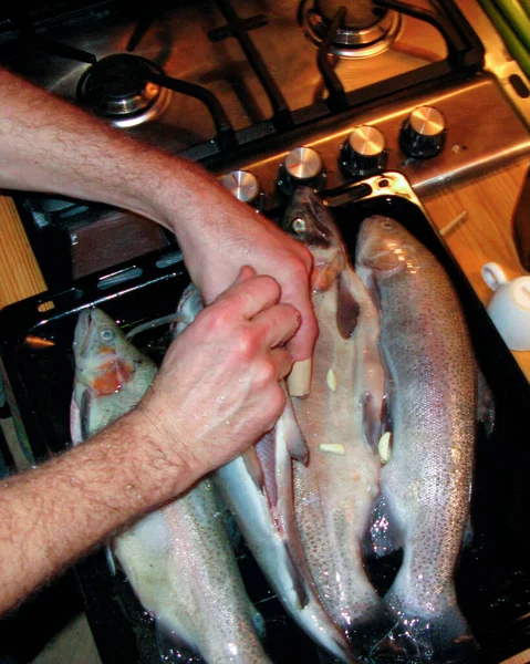 Свежепойманная Форель Еды Рыба Часть Сбалансированной Диеты — стоковое фото