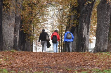 Doğada ailemle sonbahar yürüyüşüne çıkıyorum.